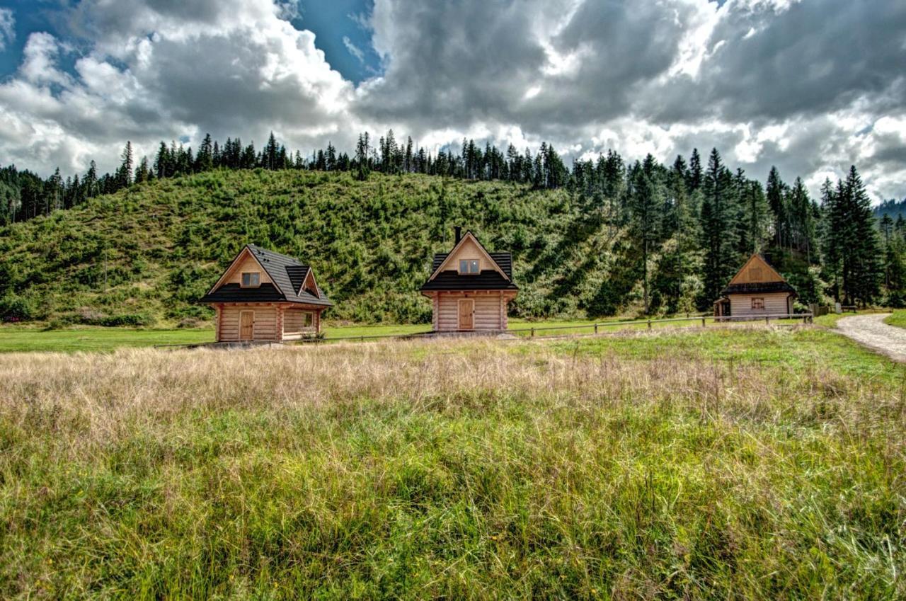 Jedroskowe Chatki Witów Екстериор снимка
